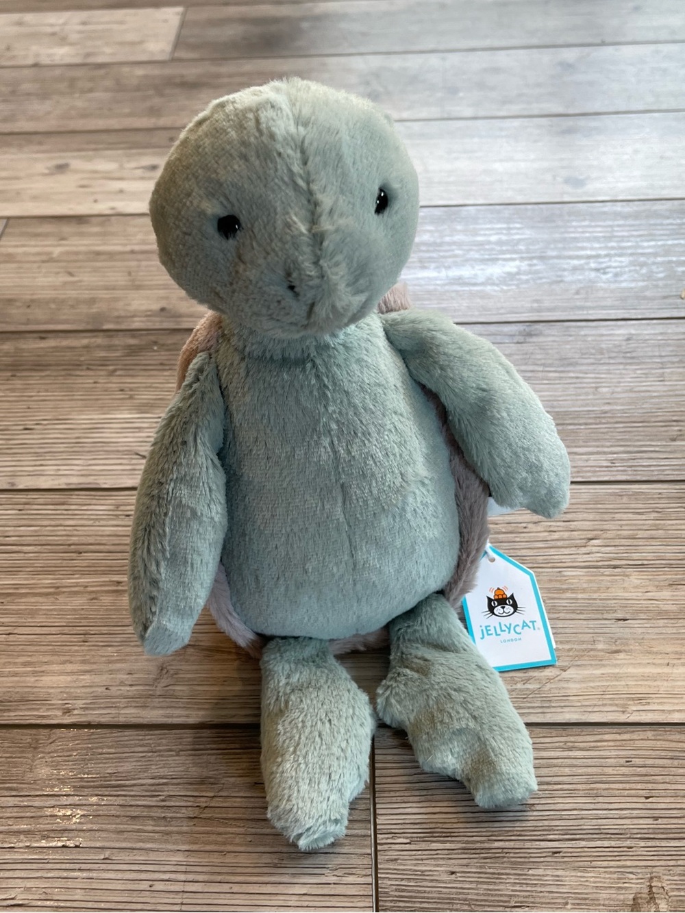 Jellycat | Medium Bashful Turtle